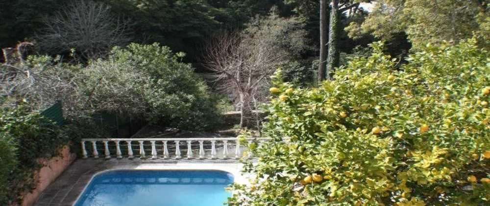 Acucena Vintage Bed & Breakfast Bed and Breakfast Sintra Esterno foto